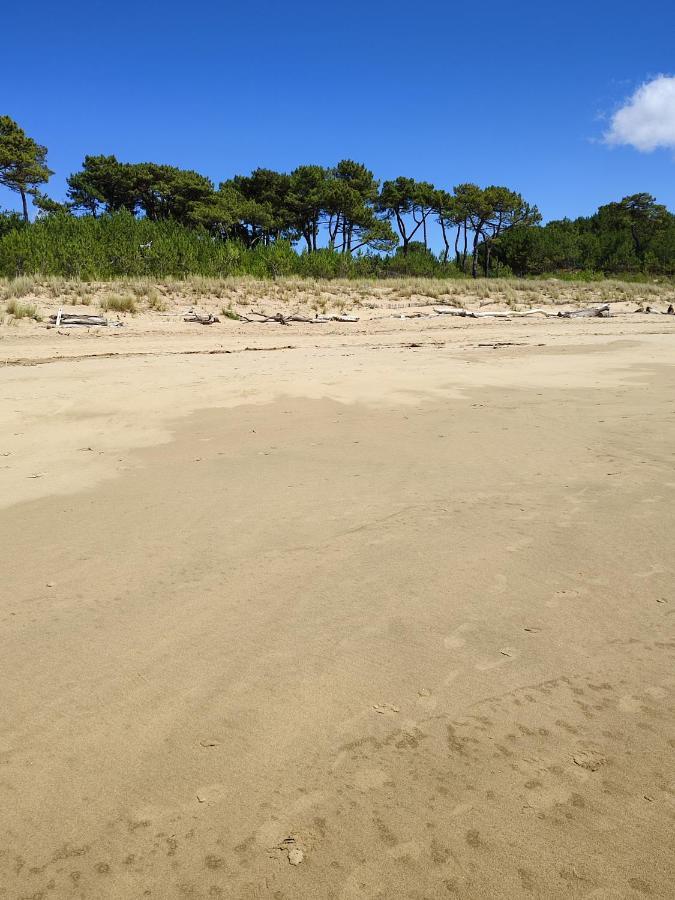 Idealement Situe, Tout A Pied, 60M2 Saint-Georges-de-Didonne ภายนอก รูปภาพ